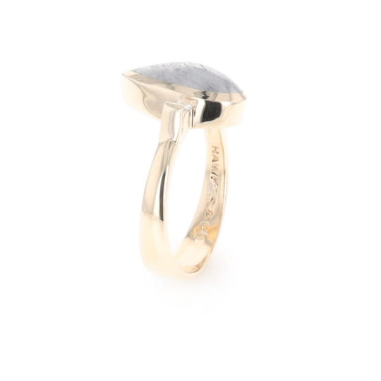Meteorite Pear Shape Inlay Ring