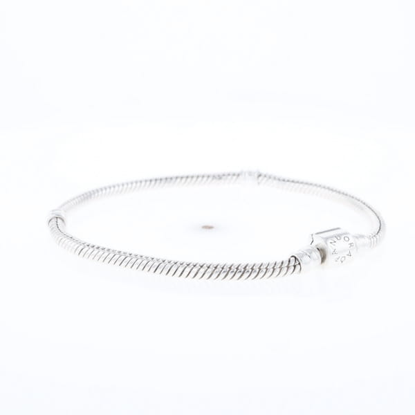 Pandora Moments Charm Bracelet