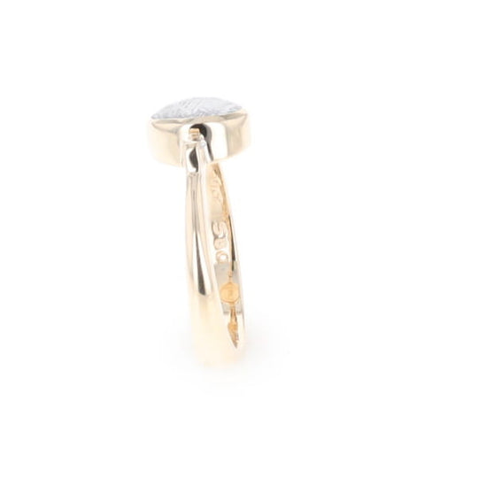 Meteorite Oval Inlay Ring