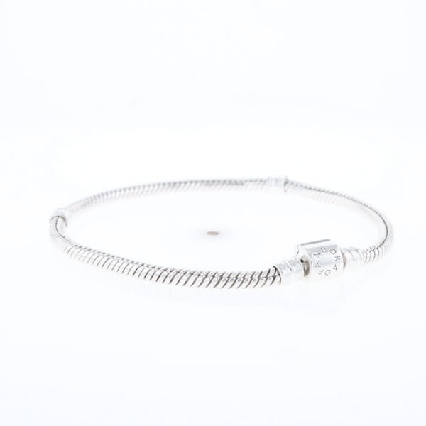 Pandora Moments Charm Bracelet