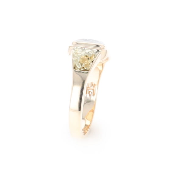 Meteorite & Gold Nugget Ring