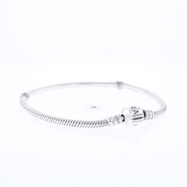 Pandora Moments Charm Bracelet
