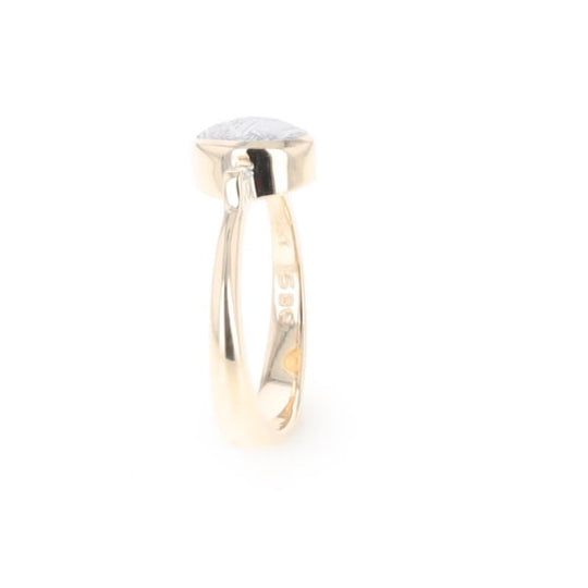 Meteorite Oval Inlay Ring