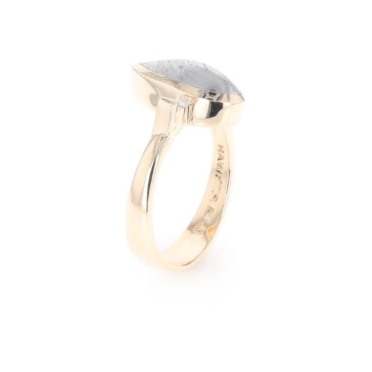 Meteorite Pear Shape Inlay Ring