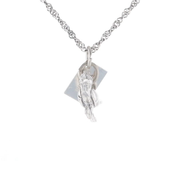 Carlsbad Caverns Roadrunner Charm