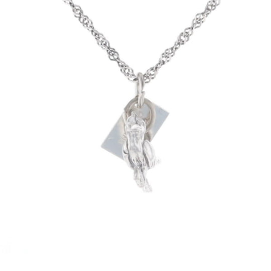 Carlsbad Caverns Roadrunner Charm