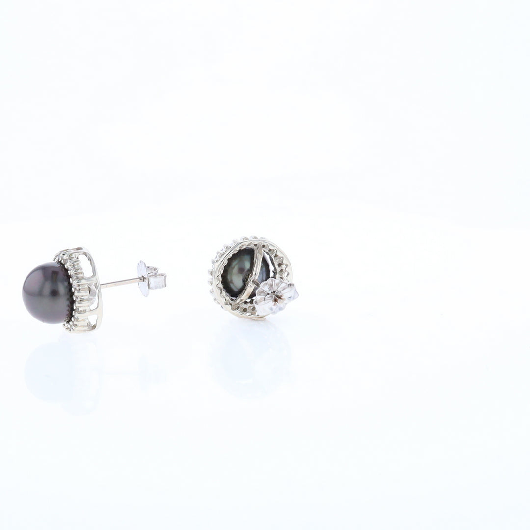 Gray Pearl Halo Studs