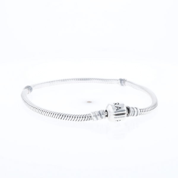 Pandora Moments Charm Bracelet