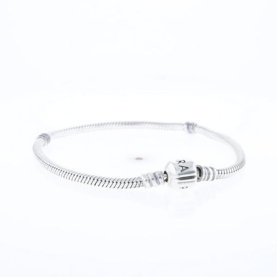 Pandora Moments Charm Bracelet