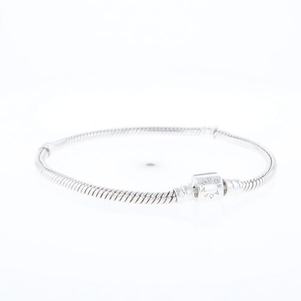 Pandora Moments Charm Bracelet