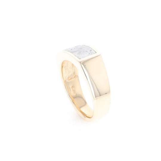Rectangle Meteorite Inlaid Ring