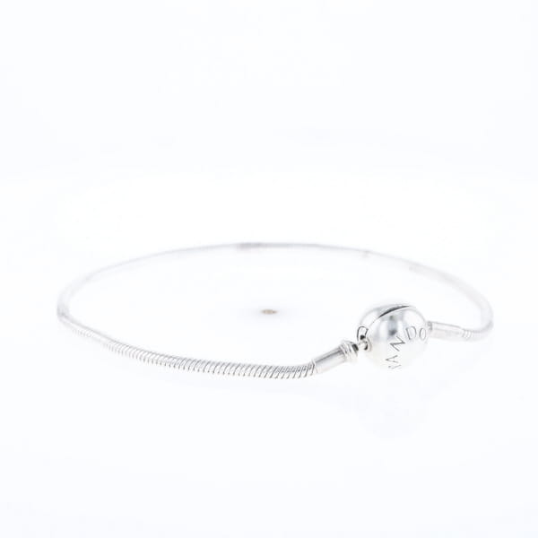 Pandora Moments Charm Bracelet