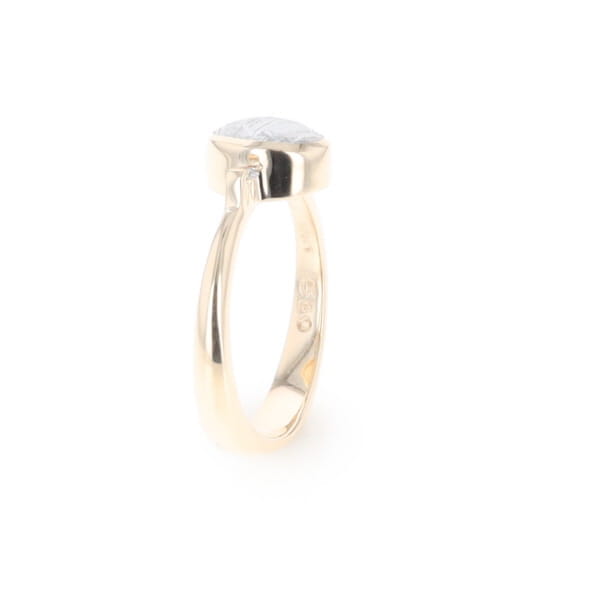 Meteorite Oval Inlay Ring