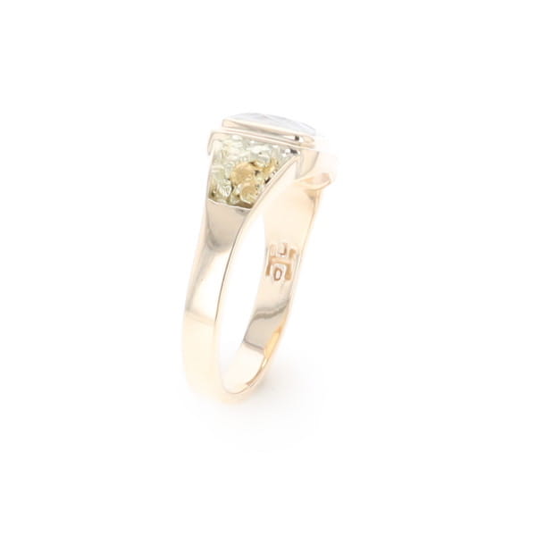 Meteorite & Gold Nugget Ring