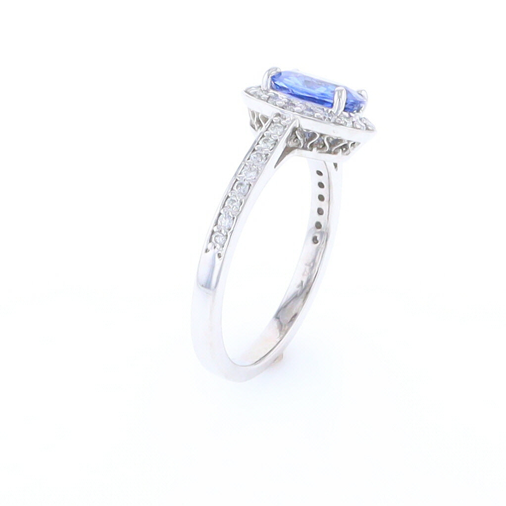 Oval Ceylon Sapphire with Diamond Halo Ring