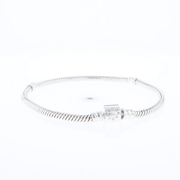 Pandora Moments Charm Bracelet