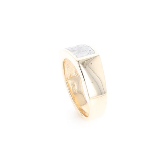 Rectangle Meteorite Inlaid Ring
