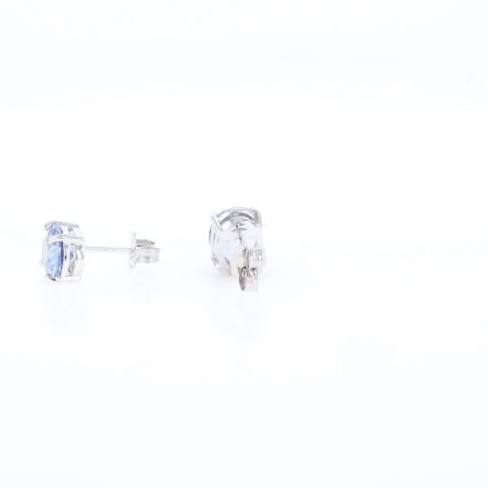 Ceylon Sapphire Stud Earrings