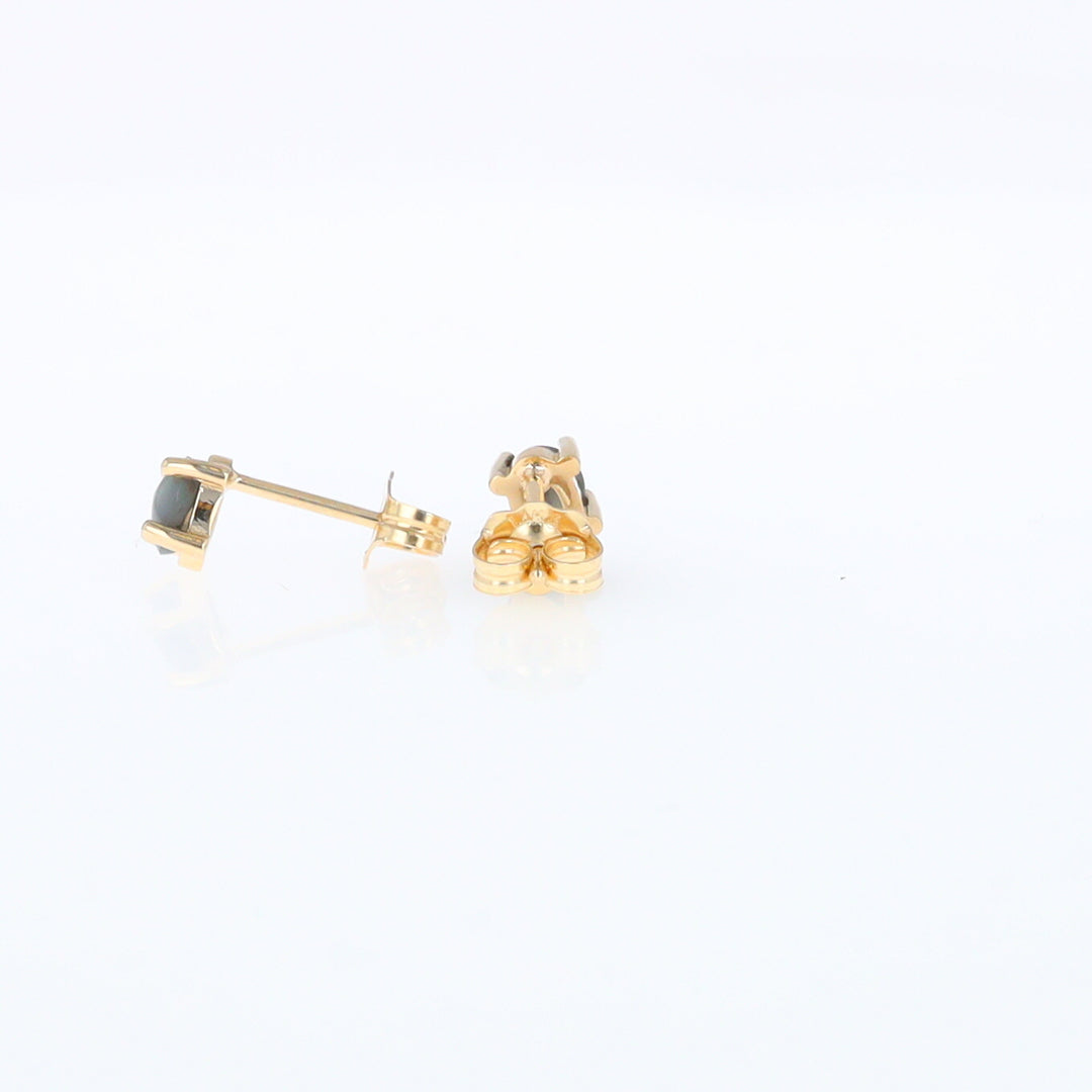 Cat's Eye Alexandrite Studs