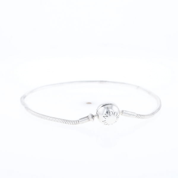 Pandora Moments Charm Bracelet