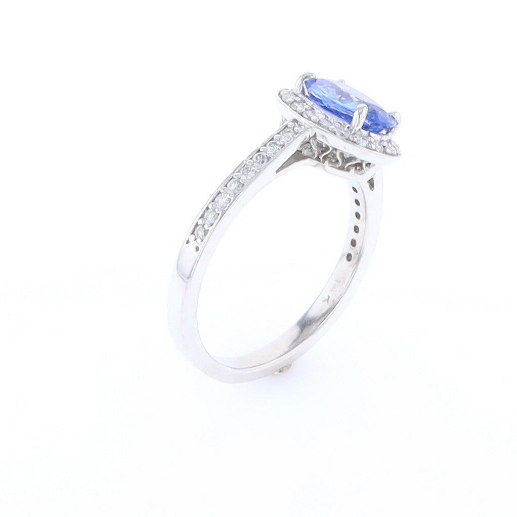 Oval Ceylon Sapphire with Diamond Halo Ring