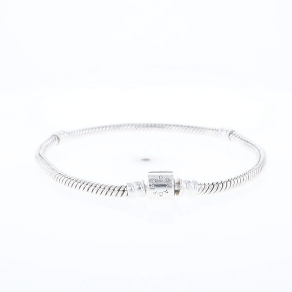 Pandora Moments Charm Bracelet