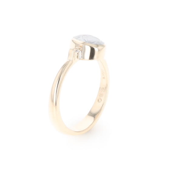 Meteorite Oval Inlay Ring