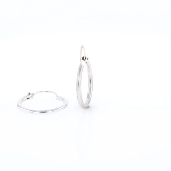 Hinged Wire Hoops