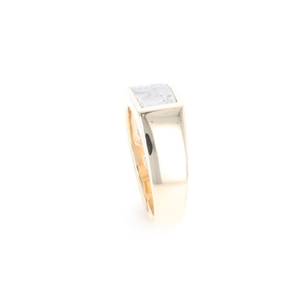 Rectangle Meteorite Inlaid Ring