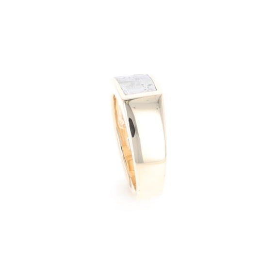 Rectangle Meteorite Inlaid Ring