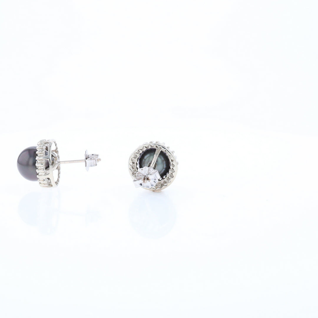 Gray Pearl Halo Studs