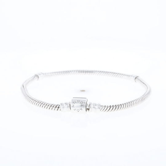 Pandora Moments Charm Bracelet