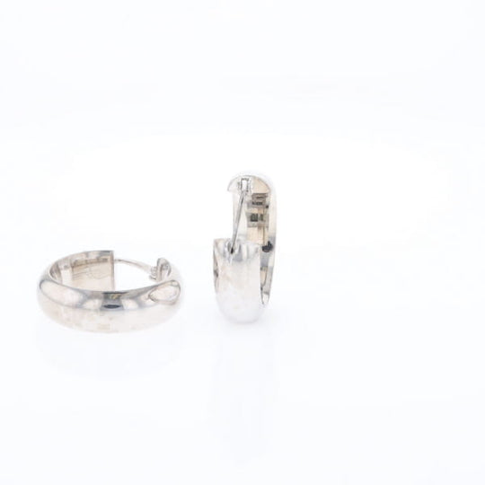 Hollow Round Tube Hoop Earrings