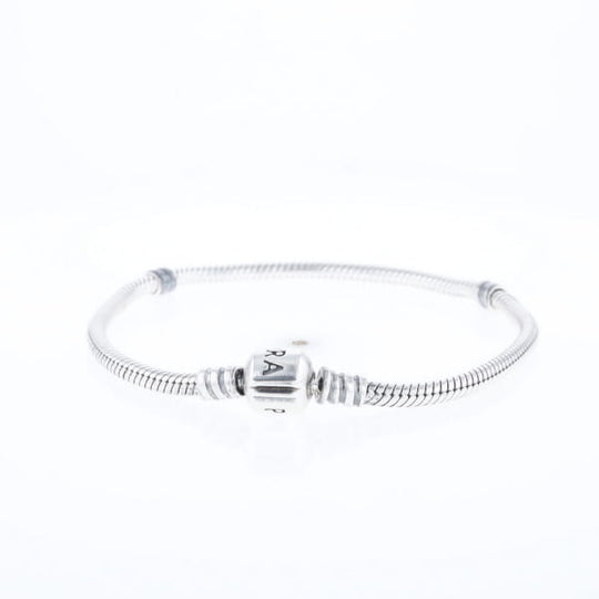 Pandora Moments Charm Bracelet