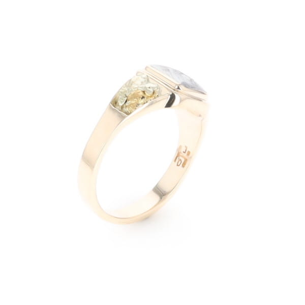 Meteorite & Gold Nugget Ring