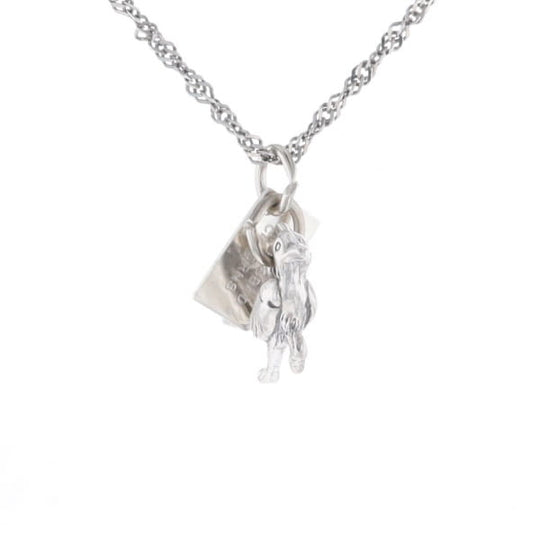 Carlsbad Caverns Roadrunner Charm