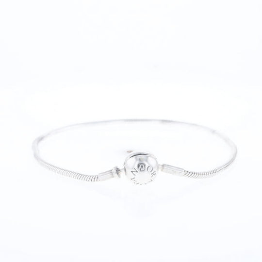 Pandora Moments Charm Bracelet
