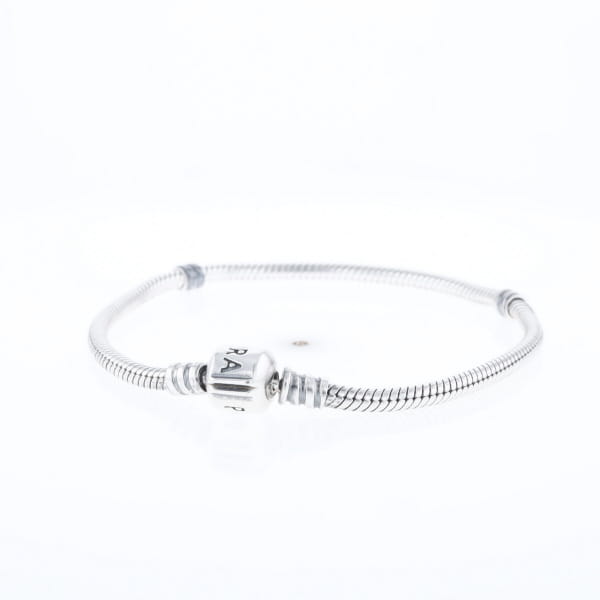 Pandora Moments Charm Bracelet