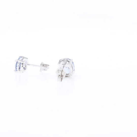 Ceylon Sapphire Stud Earrings