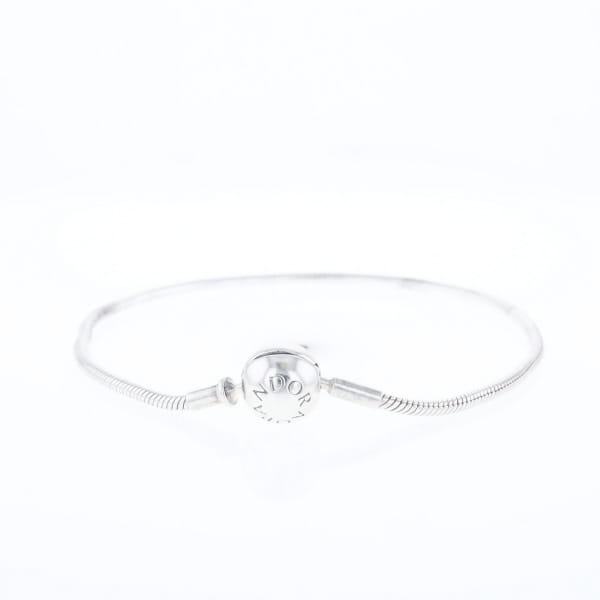 Pandora Moments Charm Bracelet