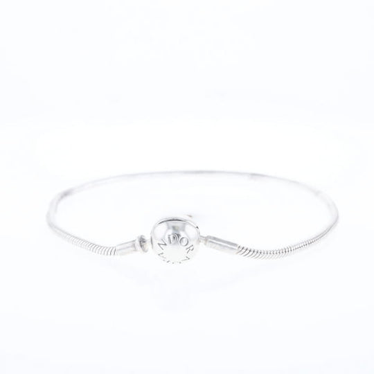 Pandora Moments Charm Bracelet