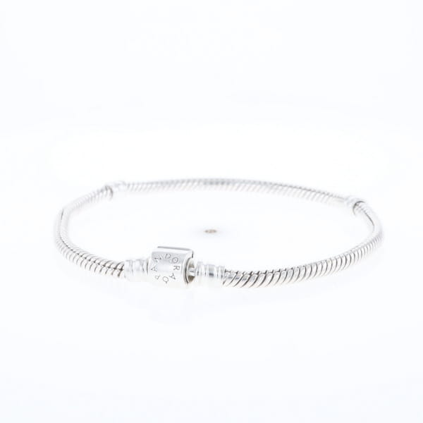 Pandora Moments Charm Bracelet
