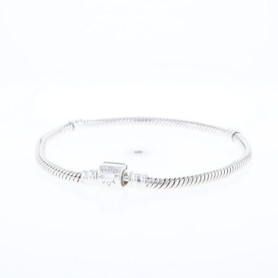 Pandora Moments Charm Bracelet