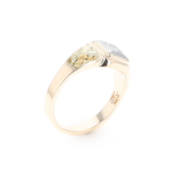 Meteorite & Gold Nugget Ring