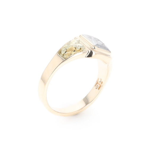 Meteorite & Gold Nugget Ring