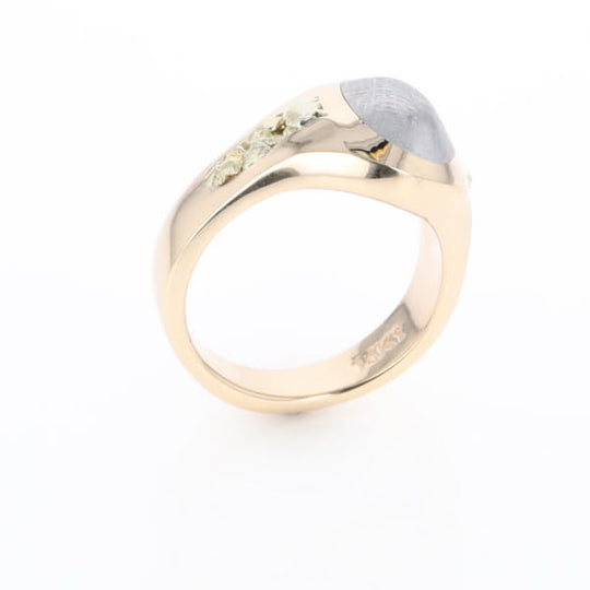 Oval Meteorite Inlaid Ring with Natural Gold Nuggets