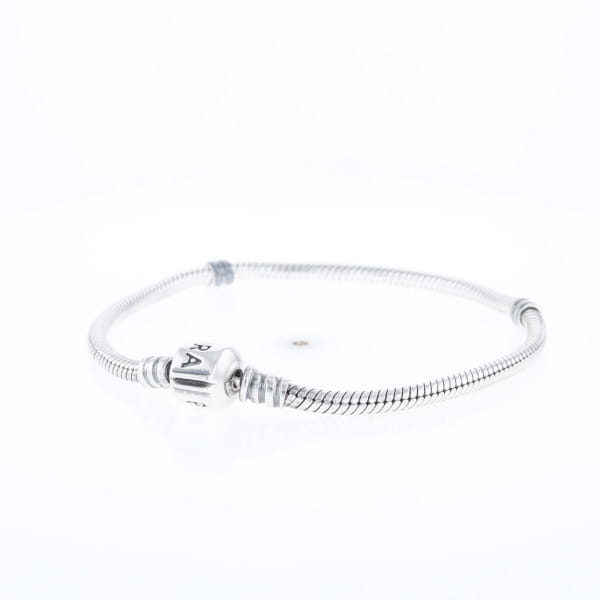 Pandora Moments Charm Bracelet