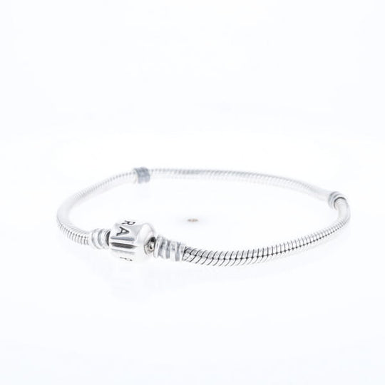 Pandora Moments Charm Bracelet