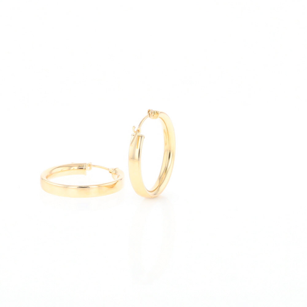 Gold Hoop Earrings