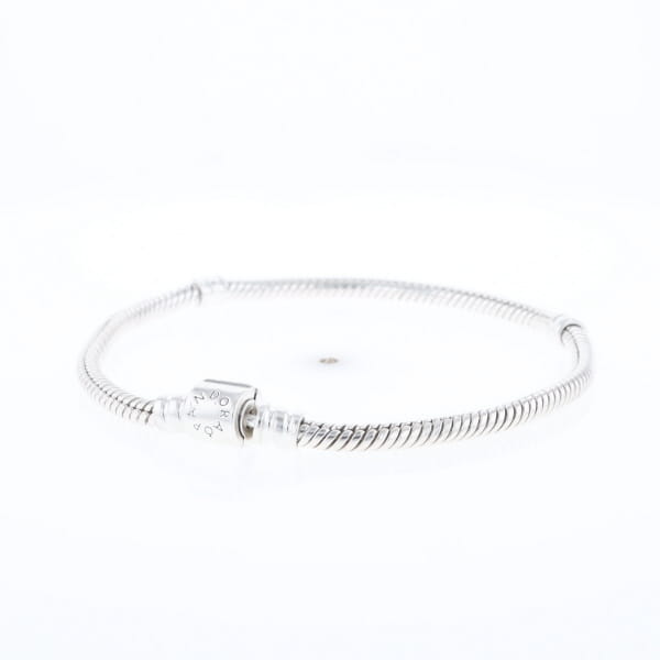 Pandora Moments Charm Bracelet